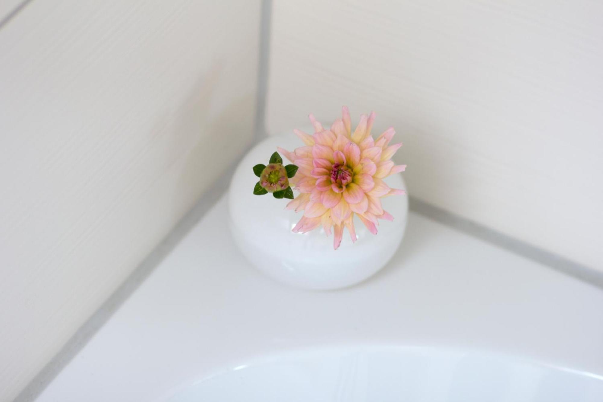 Ringelnatz & Lichtwer- Ferienwohnung ヴルツェン 部屋 写真